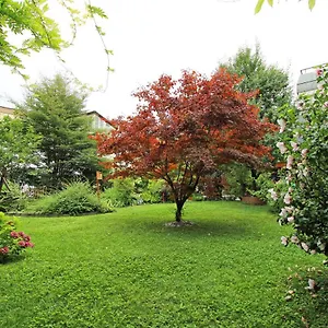  Apartment Nigler Austria