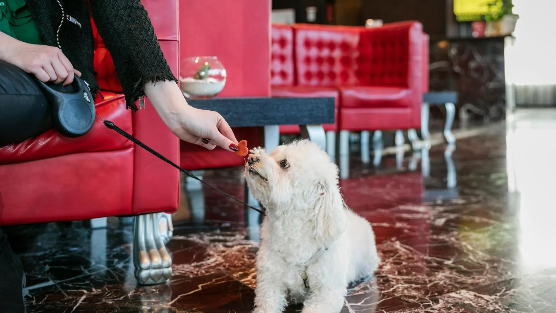 **** Hotell Arcotel Kaiserwasser Wien Österrike